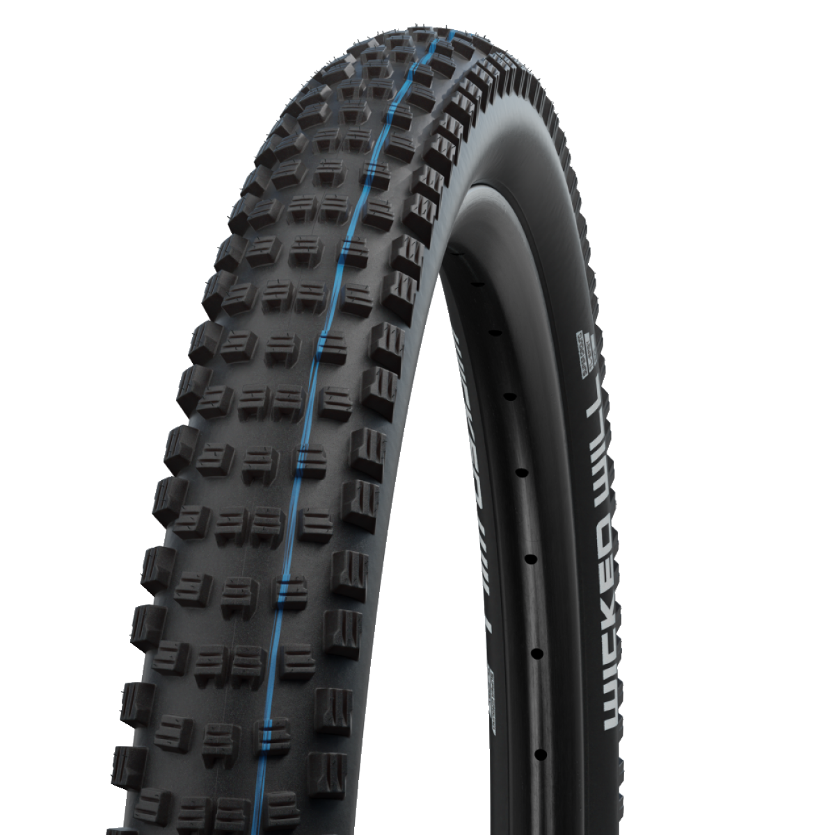 SCHWALBE WICKED WILL 29x2.60 ADDIX SPEEDGRIP SUPERGROUND Tubeless Ready Soft Black pneumatika