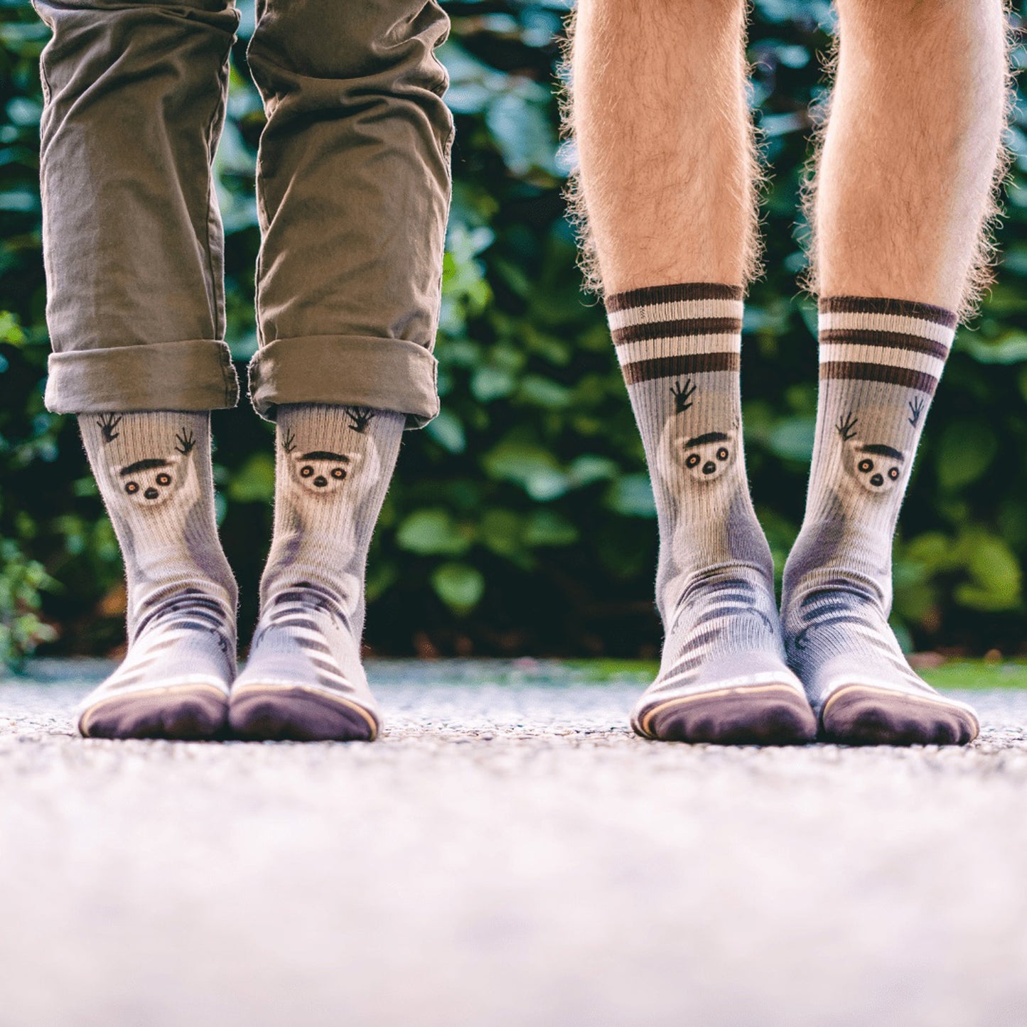 MERGE4 RING TAIL LEMUR socks