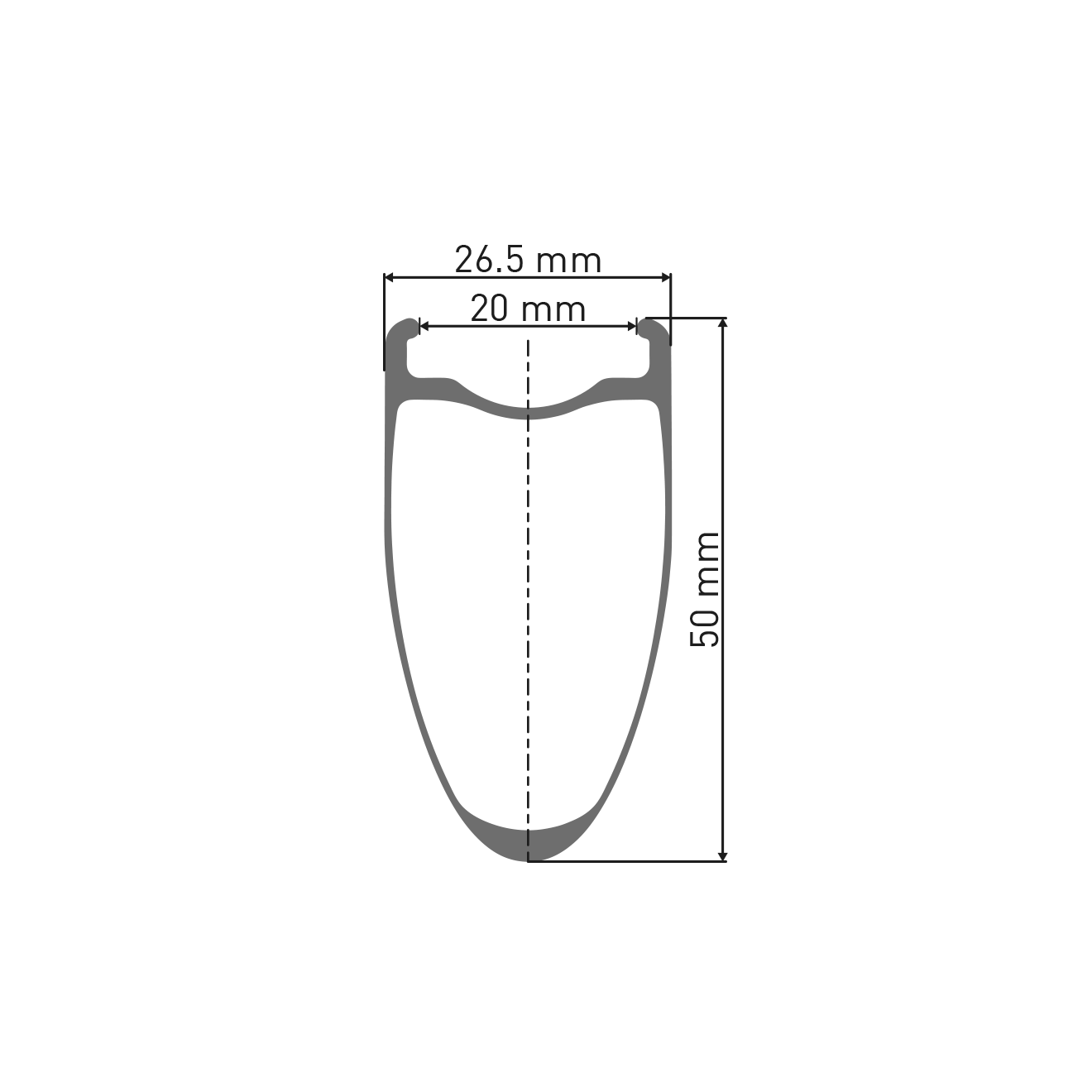 Zadní kolo DT SWISS ARC 1100 DICUT WTS SPO 50 DISC Tubeless Ready (Center Lock)