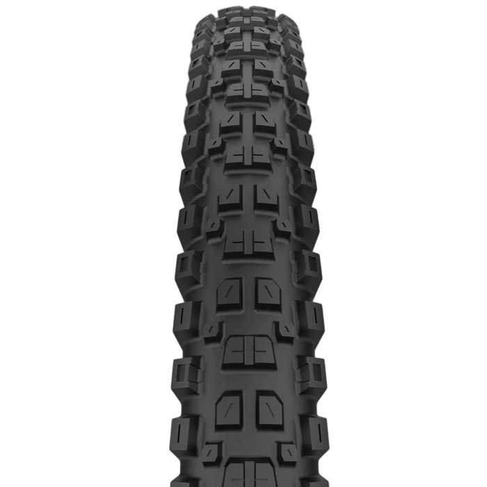 Pneumatika CAST PROTAGONIST 29x2.40 DualWall Smart Evo DH Tubeless Ready
