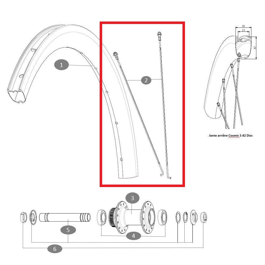 Kit 12 Spokes Front/Rear MAVIC COSMIC S42 273mm