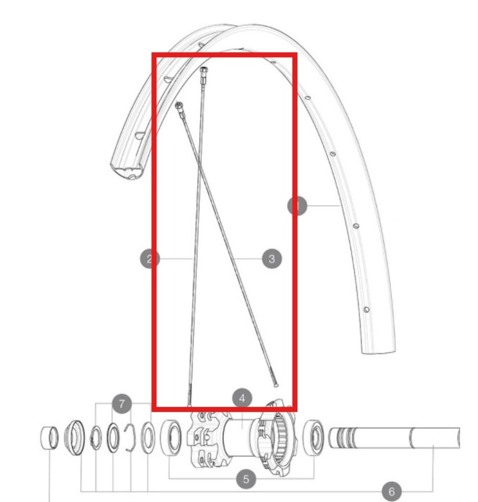 12 REAR SPOKES KIT MAVIC CROSSMAX LIGHT 29'' 294MM