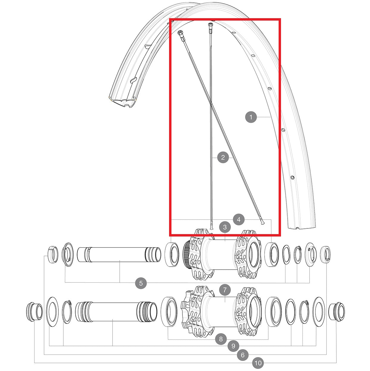SADA 14 ZADNÍ STRANA POHONU EDEEMAX 29'' PLOCHÉ PAPRSKY 303 + NIPLE