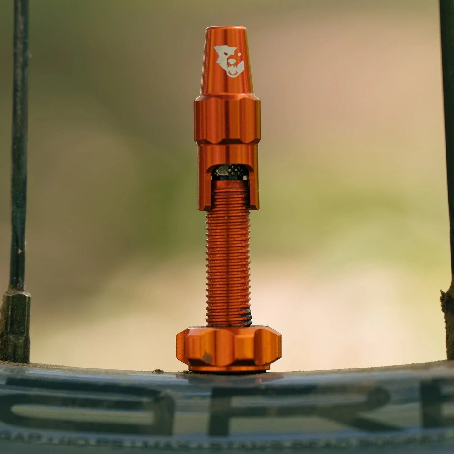 Bezdušový ventil WOLF TOOTH CLIK VALVE oranžový