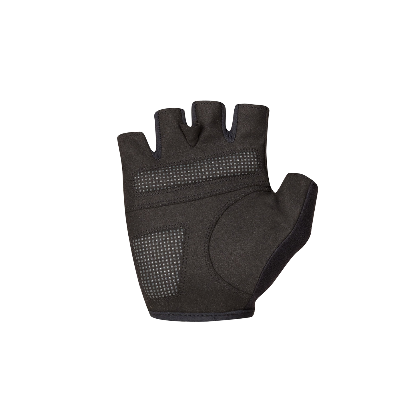SPORTFUL CLASSIC Short Gloves Green