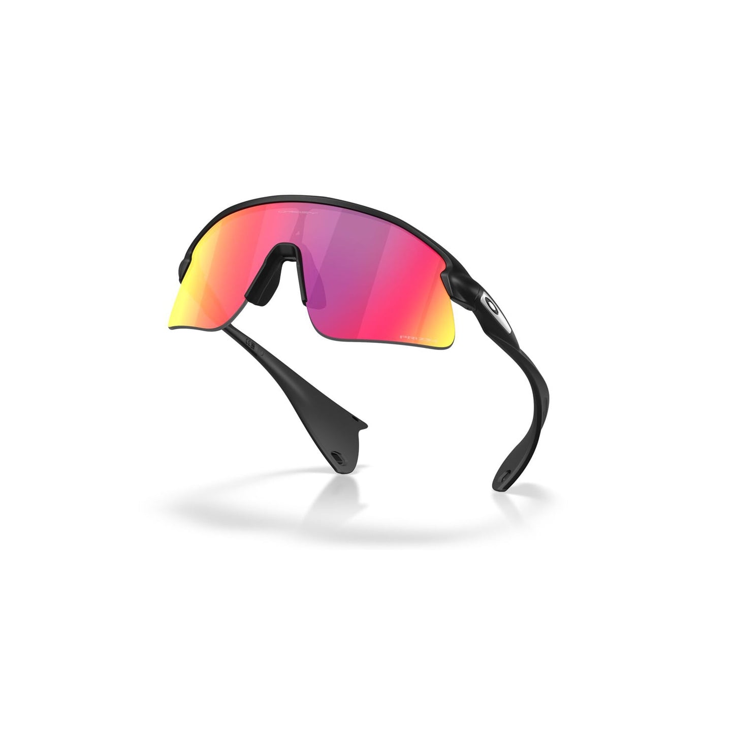 OAKLEY STUNT DEVIL Goggles Black Matt Prizm Road