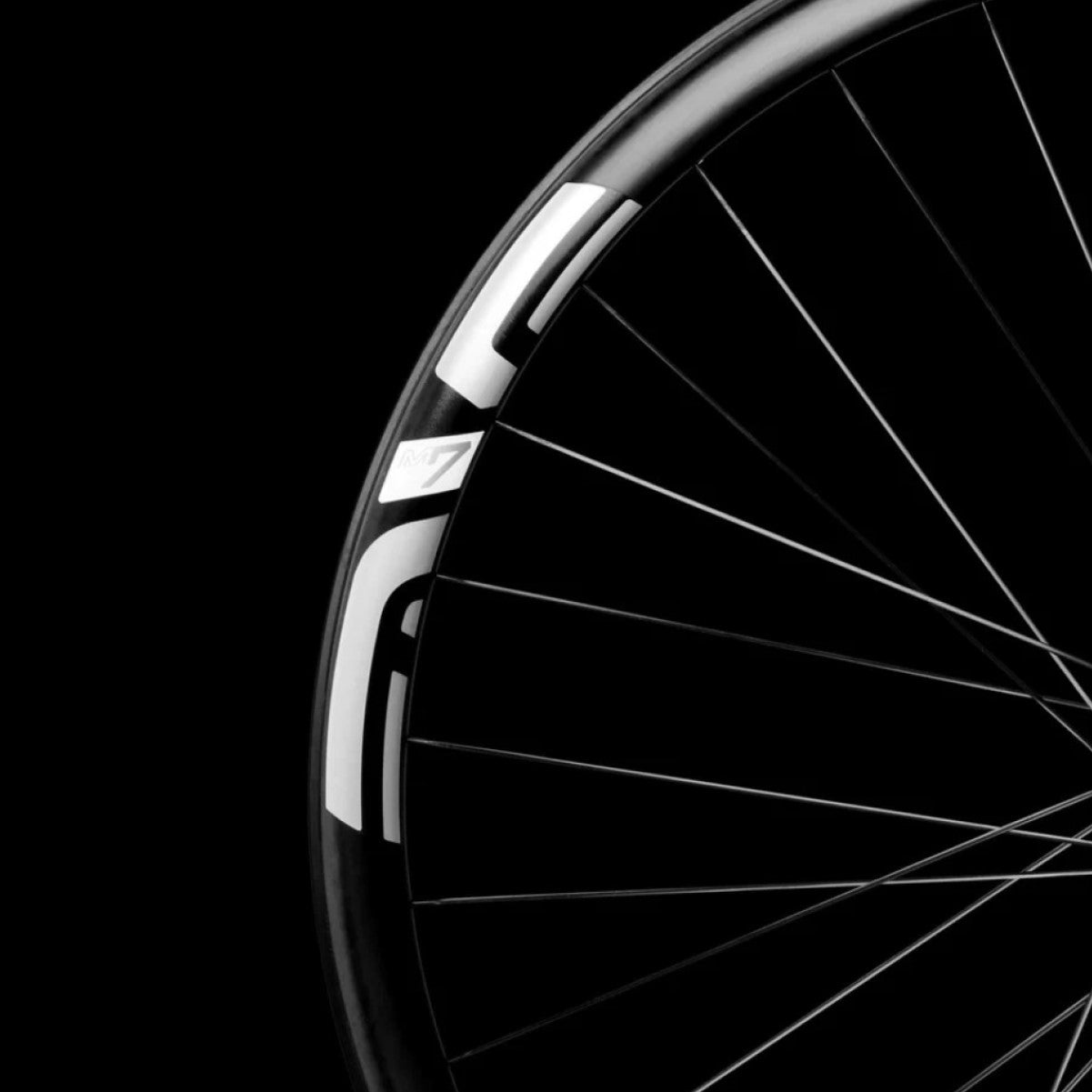 Pár karbonových kol ENVE M730 HYDRA 29" 15x110/12x148mm Boost 6 Hole Black