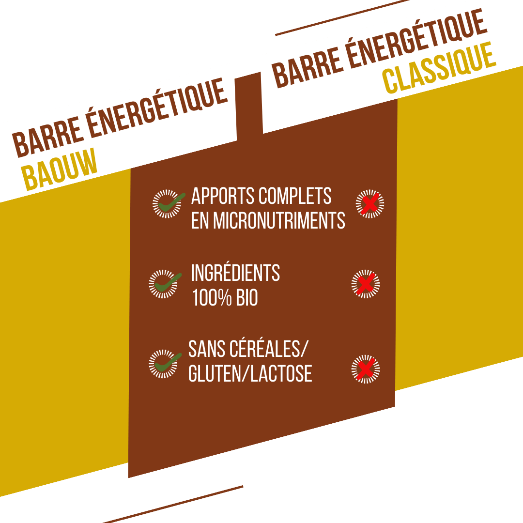 Energetická tyčinka BAOUW ORGANIC EXTRA Banánovo-pekaňová (50g)