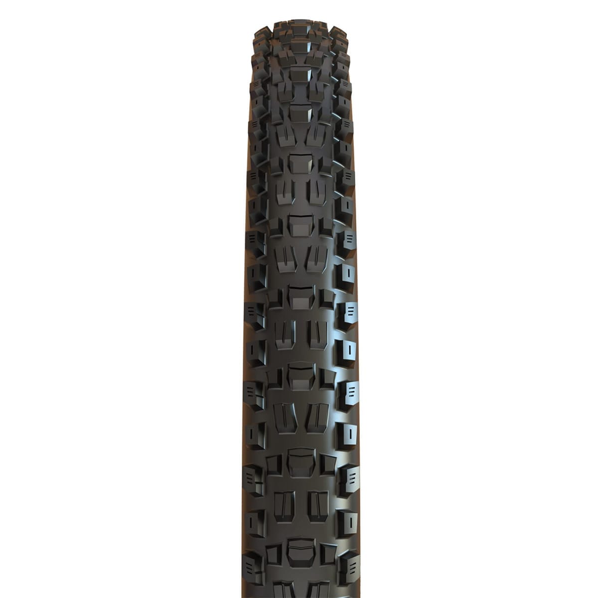 MAXXIS ASSEGAI 29x2.50 WT BikePark DH Tubeless Ready Rigid Black pneumatika