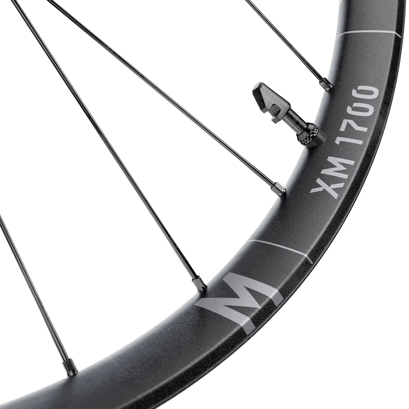 Přední kolo DT SWISS XM 1700 SPLINE 30 mm 29" 15x110 mm Boost 2026