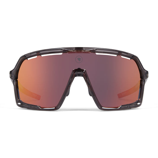 ENDURA PRO SL Goggles Grey 2025