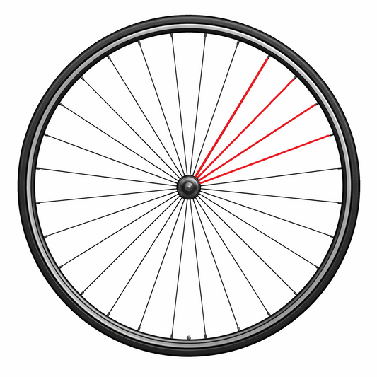 Sada 4 paprsků CAMPAGNOLO + BORA ULTRA WTO 35 C23 niple pravý přední 279mm