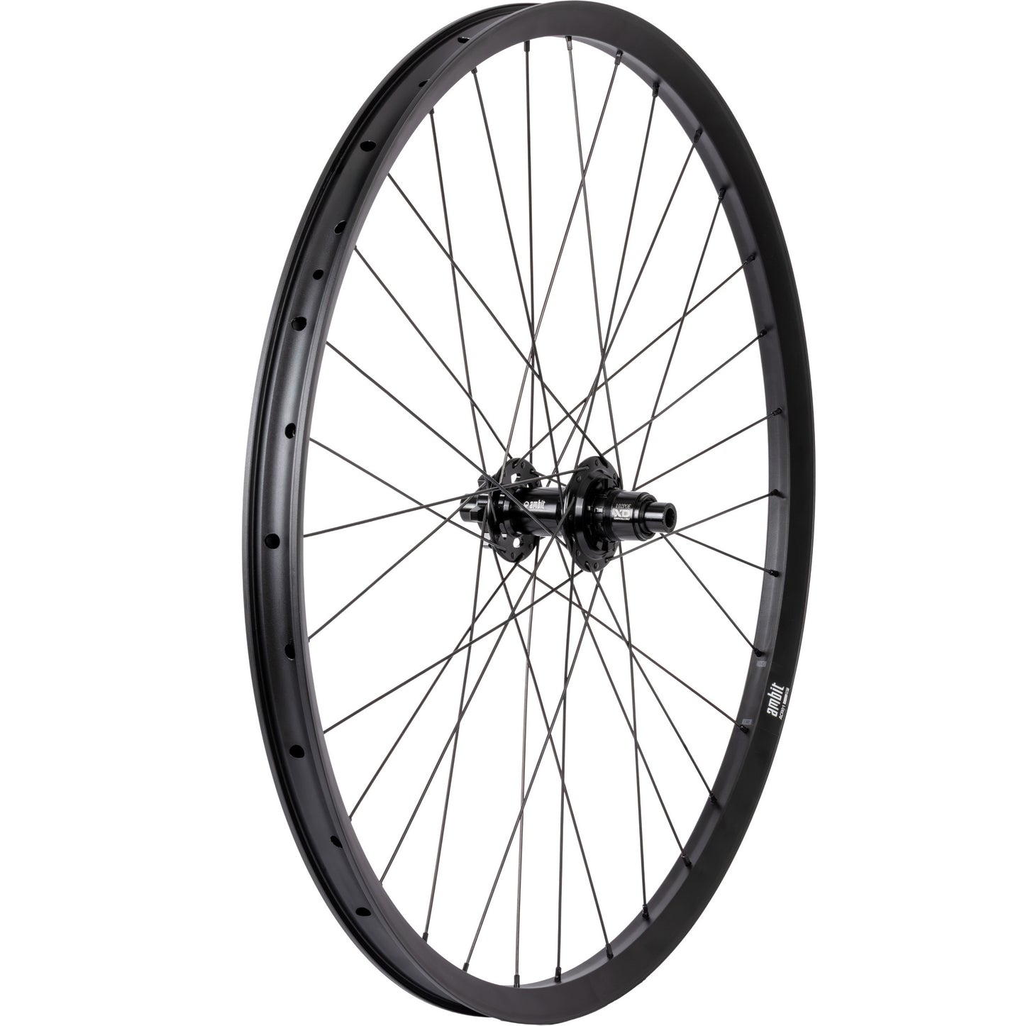 Zadní kolo AMBIT REALM 29" 12x148mm Boost POE 102