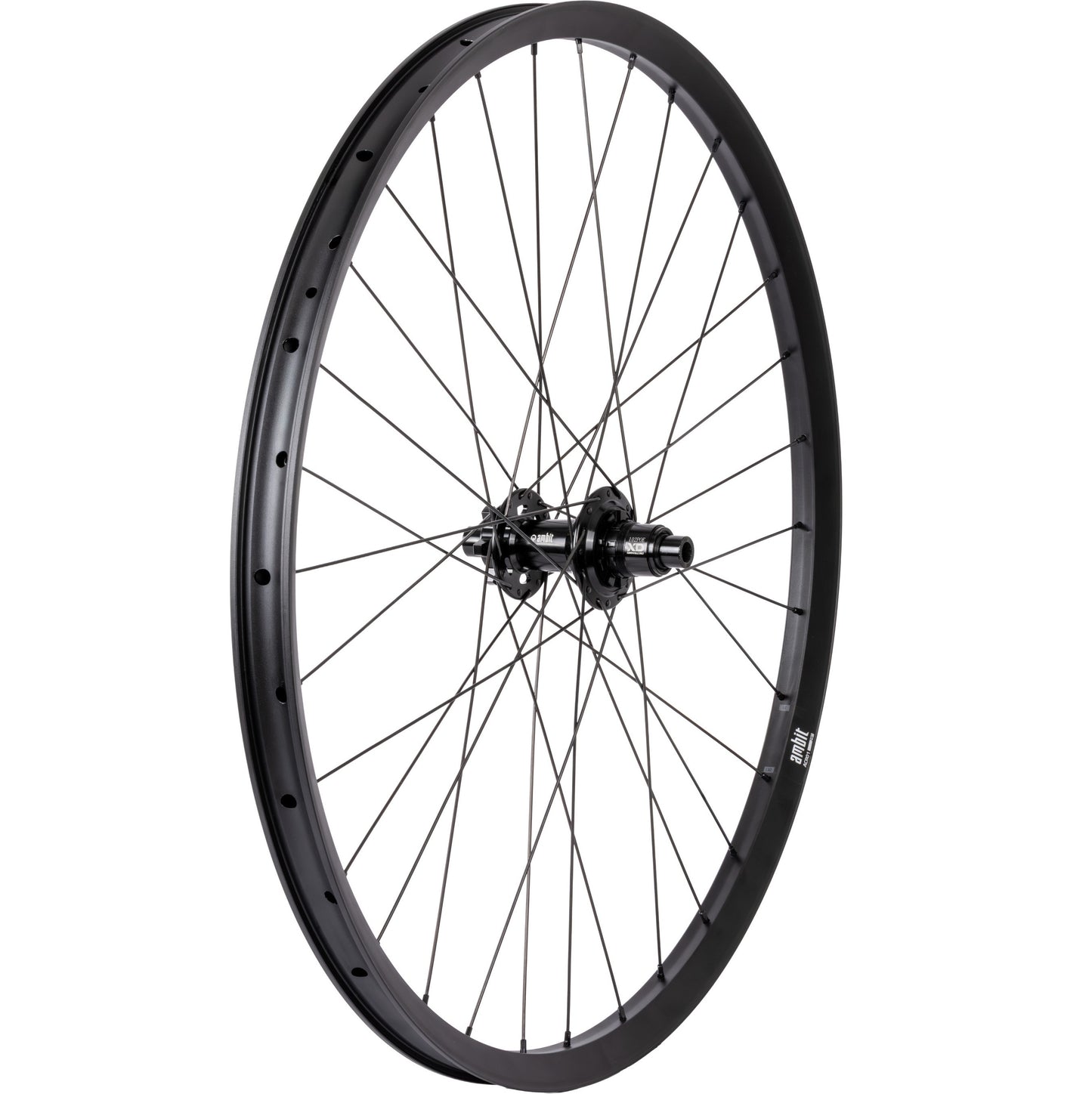 Zadní kolo AMBIT REALM 29" 12x148mm Boost POE 612