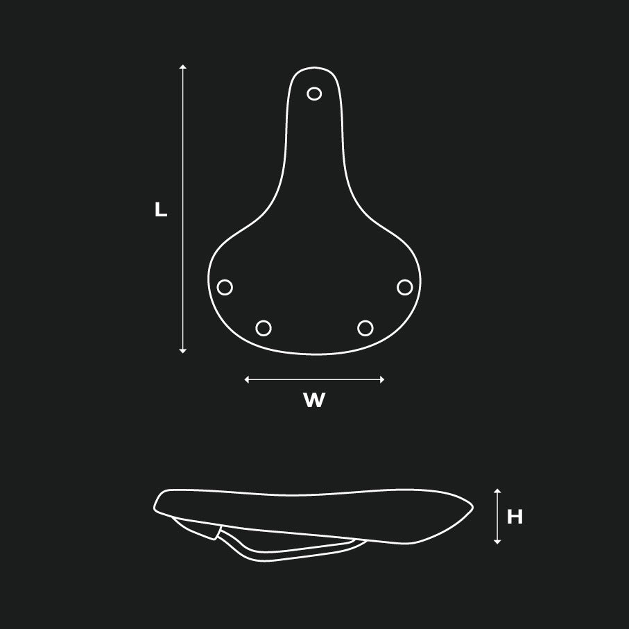 Saddle BROOKS CAMBIUM C67 Black