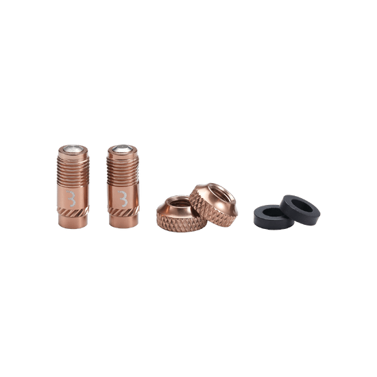 BBB CORE CAP Bronze Valve Tips (x2)