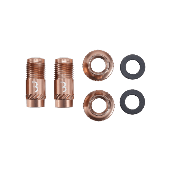 BBB CORE CAP Bronze Valve Tips (x2)